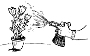 -cide illustration