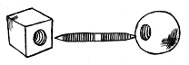 dowel screw illustration