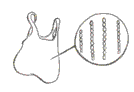 poly- illustration