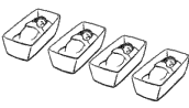 quad- illustration