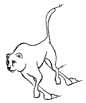 quad- illustration