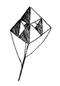 tetra- illustration